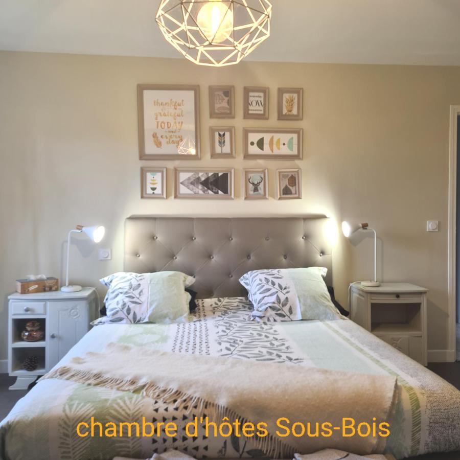Chambres D'Hotes La Queriere Mur-de-Sologne Экстерьер фото